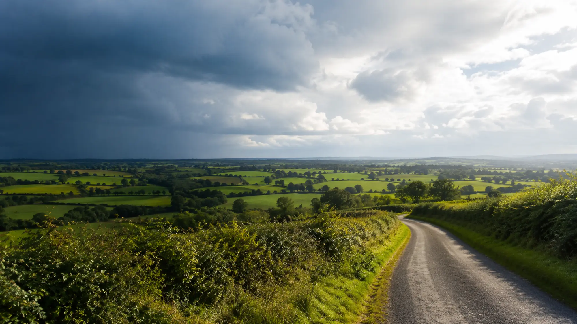 Meath